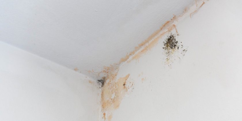 black-mold-stains-in-corner-of-room-mildew-on-whi-2025-03-09-21-55-05-utc